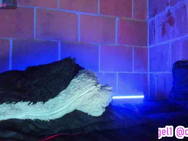cata-anngel webcam