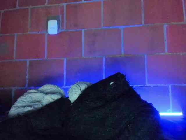 cata-anngel webcam