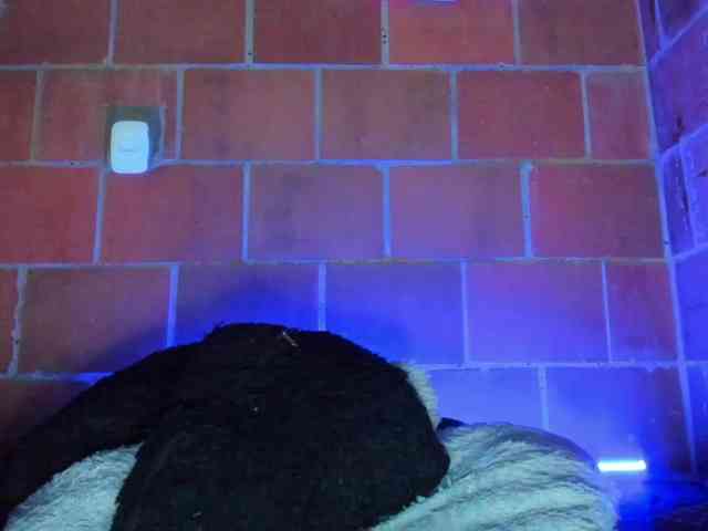 cata-anngel webcam