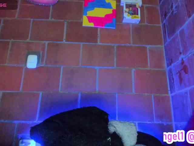 cata-anngel webcam