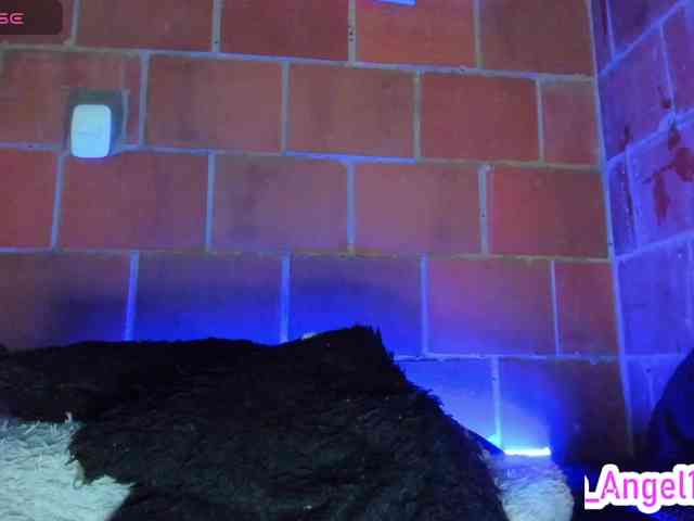 cata-anngel webcam