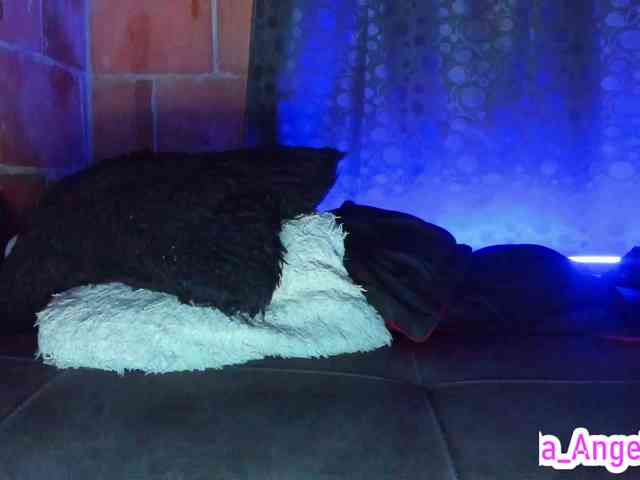 cata-anngel webcam