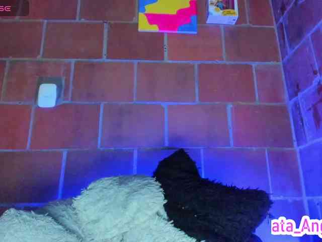cata-anngel webcam