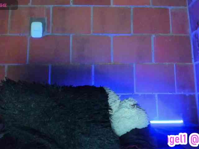 cata-anngel webcam