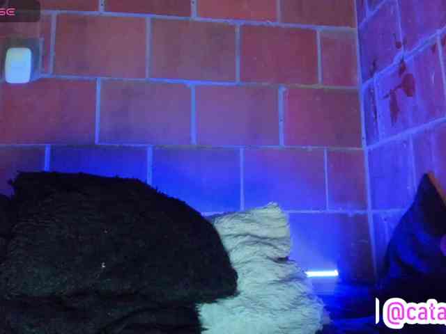 cata-anngel webcam
