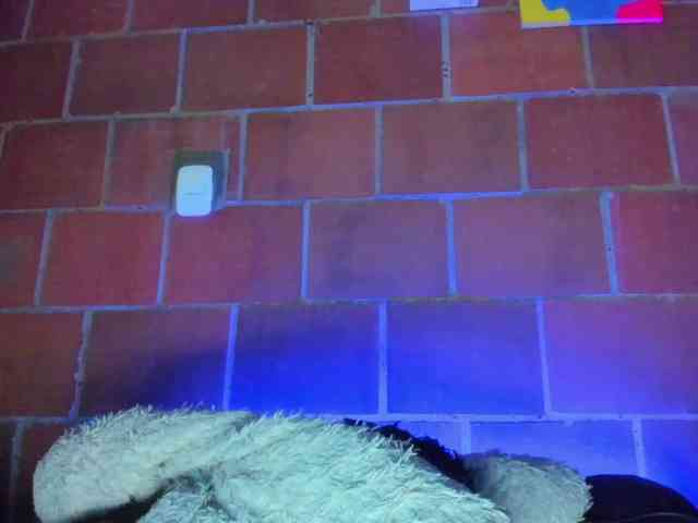 cata-anngel webcam