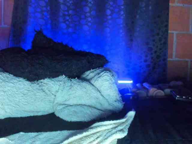 cata-anngel webcam
