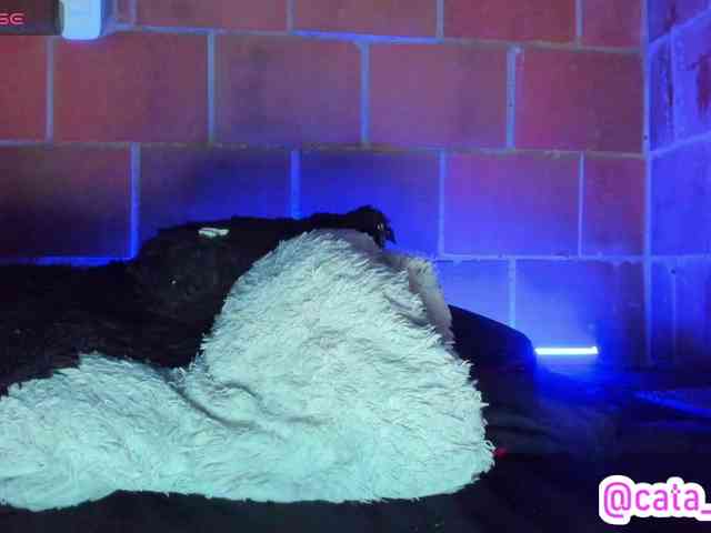 cata-anngel webcam