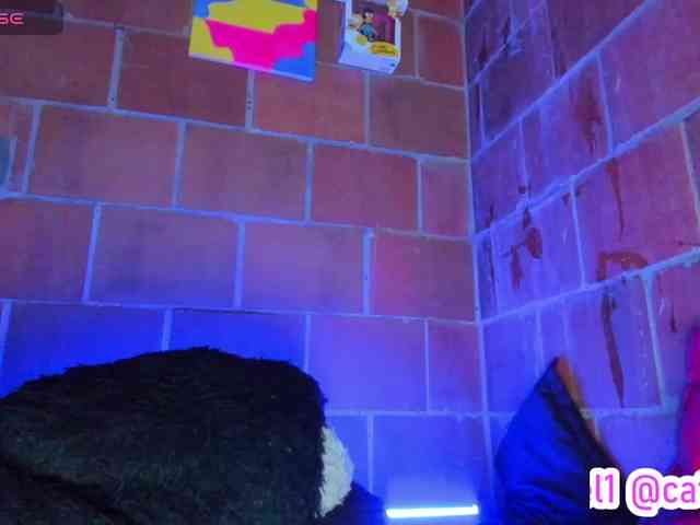 cata-anngel webcam