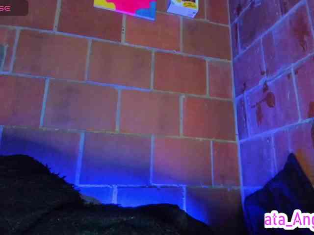 cata-anngel webcam