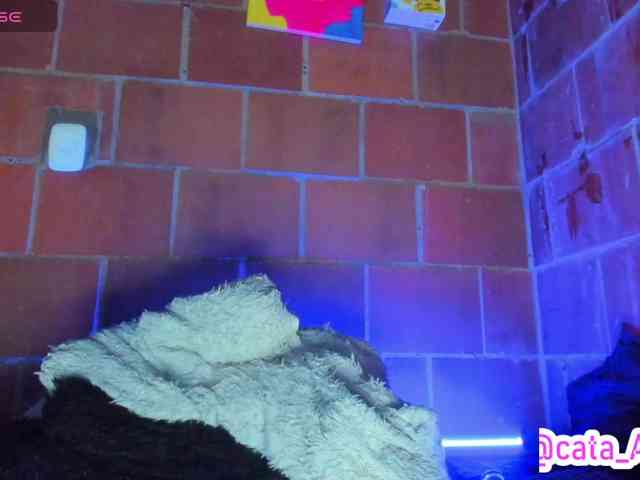 cata-anngel webcam