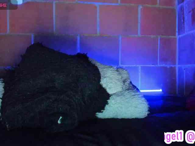 cata-anngel webcam