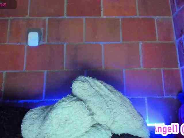 cata-anngel webcam