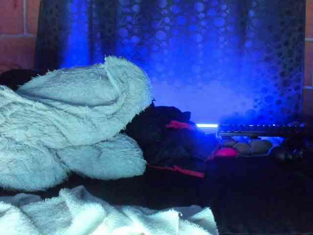 cata-anngel webcam