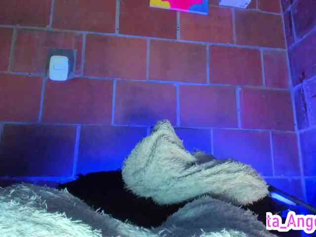 cata-anngel webcam