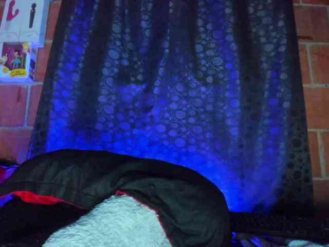 cata-anngel webcam