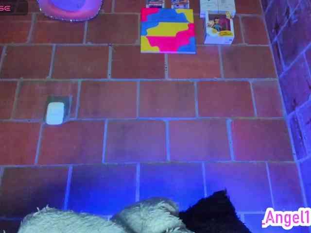 cata-anngel webcam