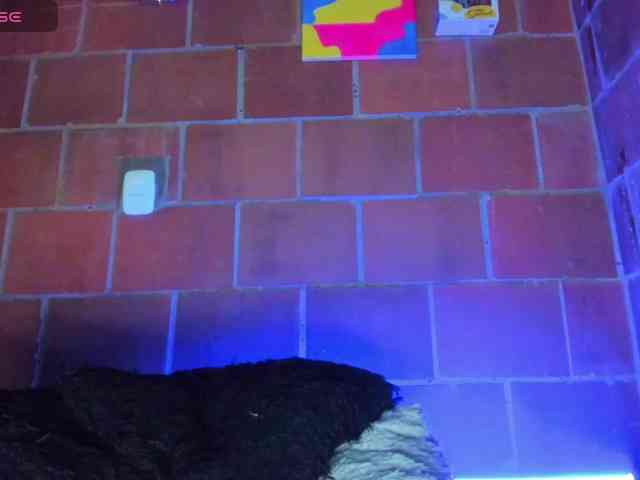 cata-anngel webcam
