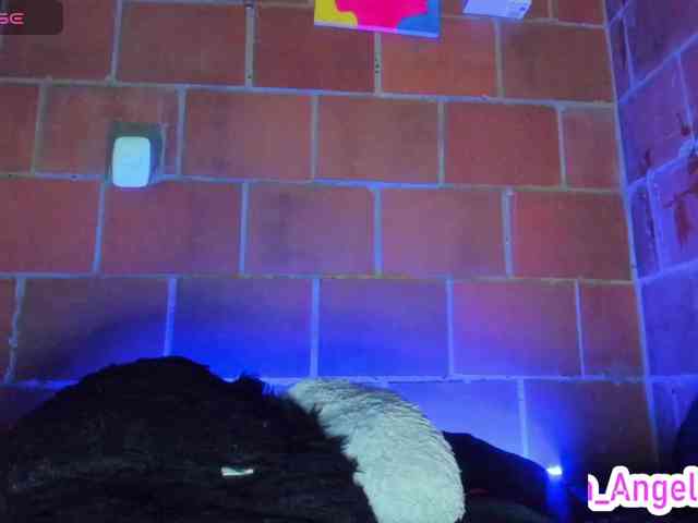cata-anngel webcam