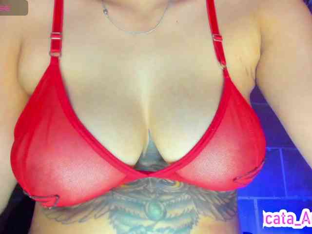 cata-anngel webcam