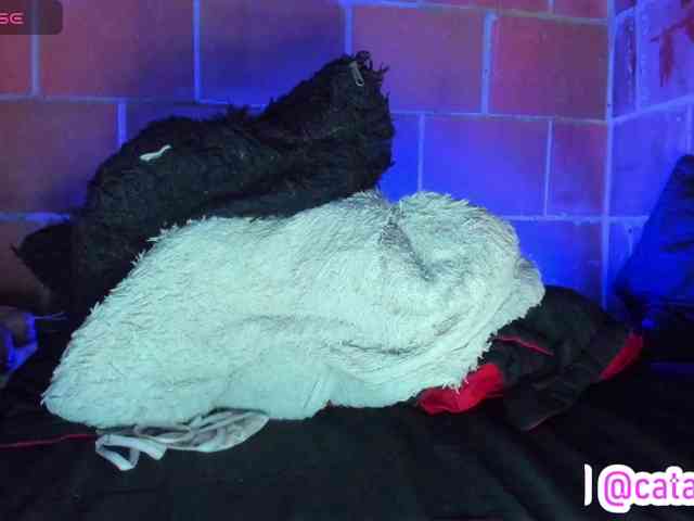 cata-anngel webcam