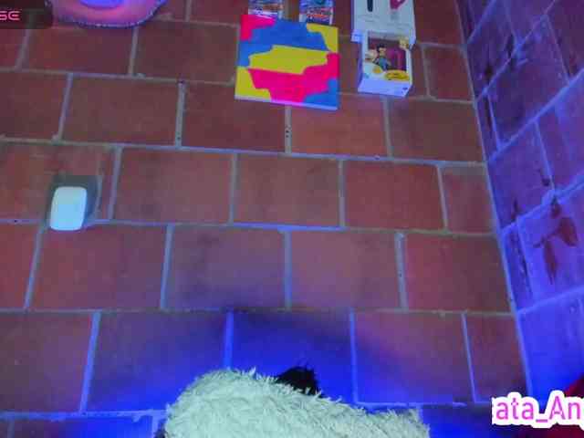 cata-anngel webcam