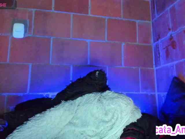 cata-anngel webcam