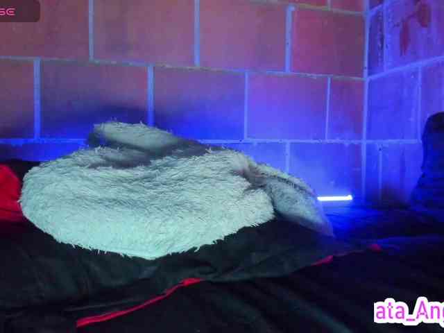 cata-anngel webcam
