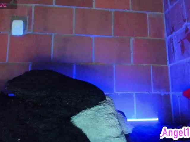 cata-anngel webcam