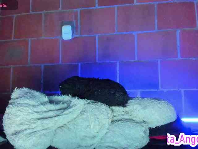 cata-anngel webcam