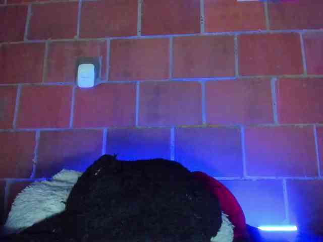 cata-anngel webcam