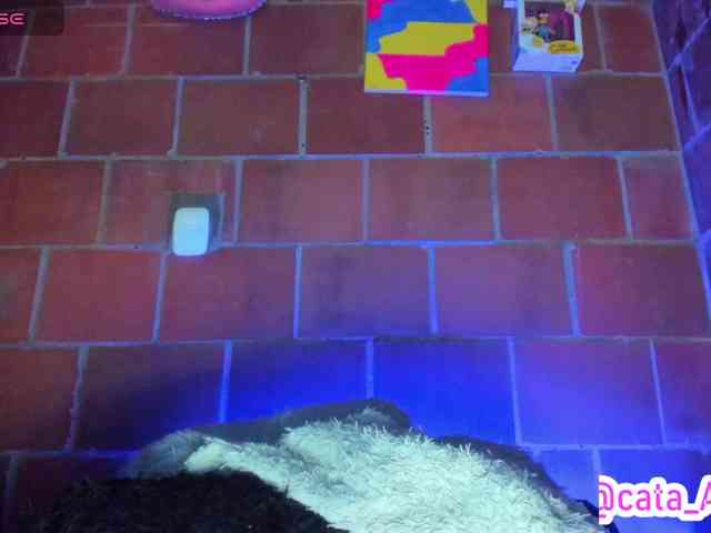 cata-anngel webcam