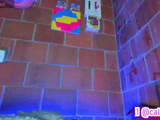 cata-anngel webcam