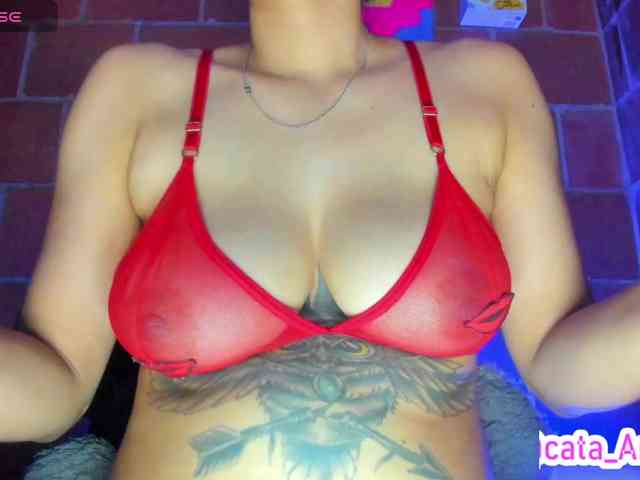 cata-anngel webcam