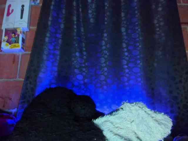 cata-anngel webcam
