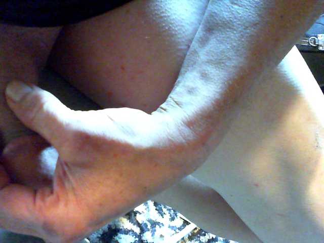 CannonBoom live cam