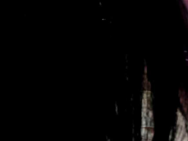 NinnaVous live cam on BongaCams