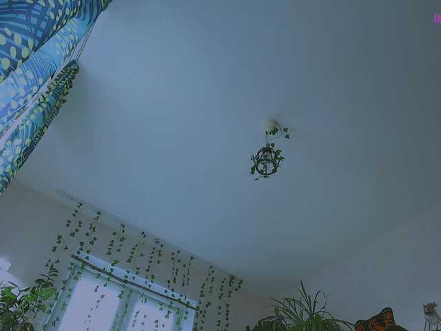 DeadButterfly live cam on BongaCams