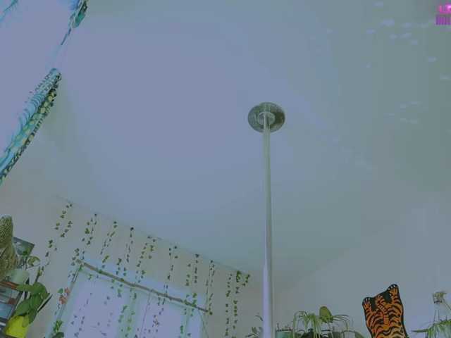 InkButtercup live cam preview