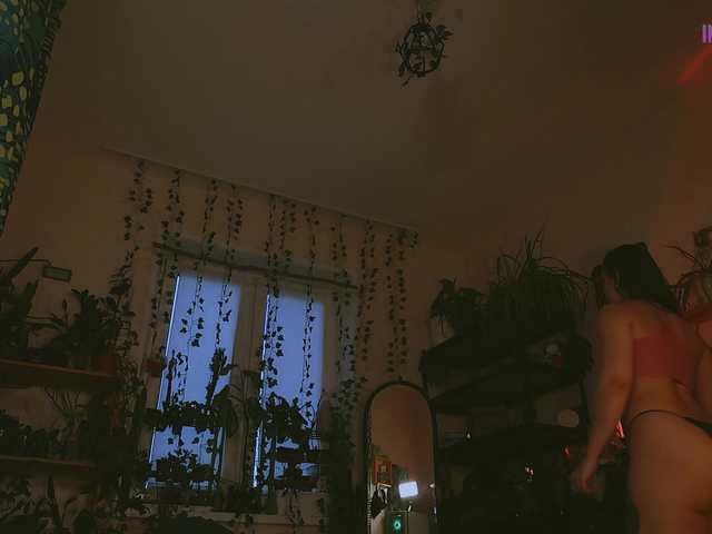 Profile and Statistics for DeadButterfly on BongaCams