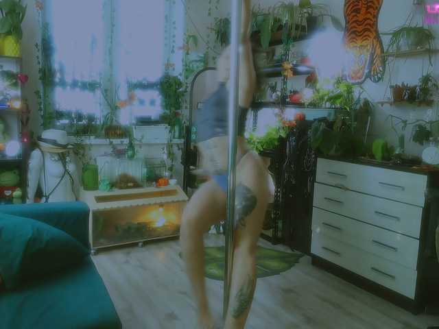 DeadButterfly live cam preview