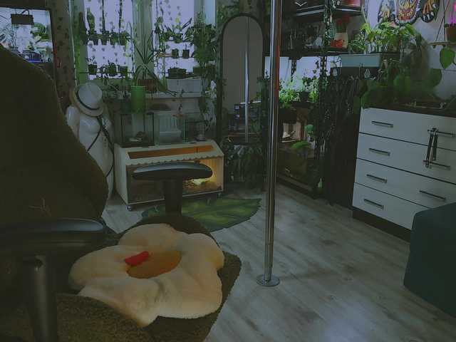 DeadButterfly live cam on BongaCams