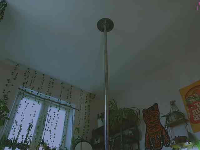 InkButtercup webcam