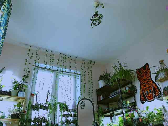 InkButtercup webcam
