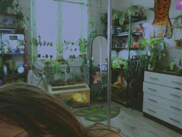 inkbuttercup's live room