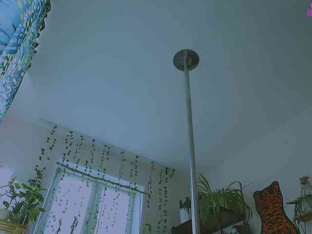 InkButtercup webcam