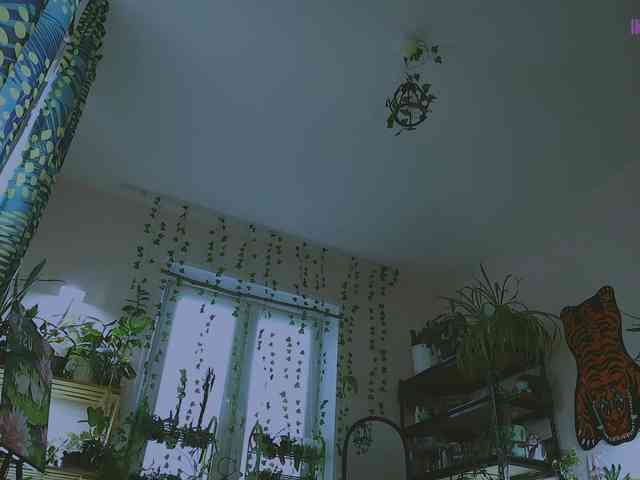 InkButtercup webcam