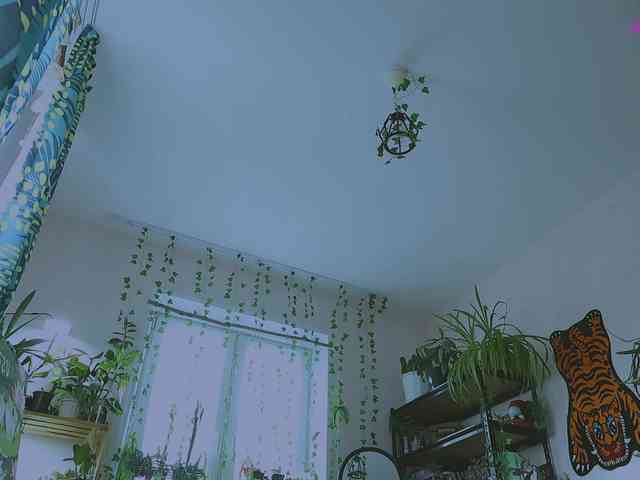 InkButtercup webcam