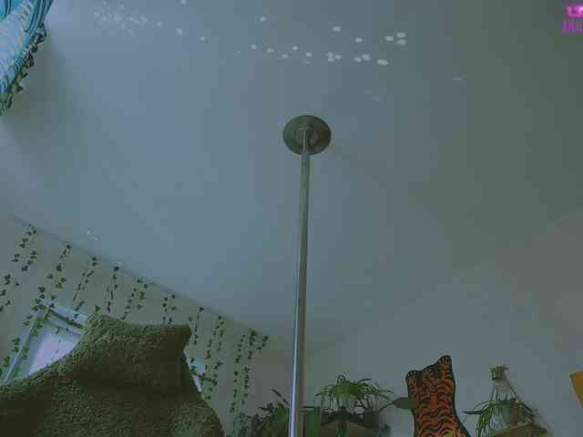 InkButtercup webcam