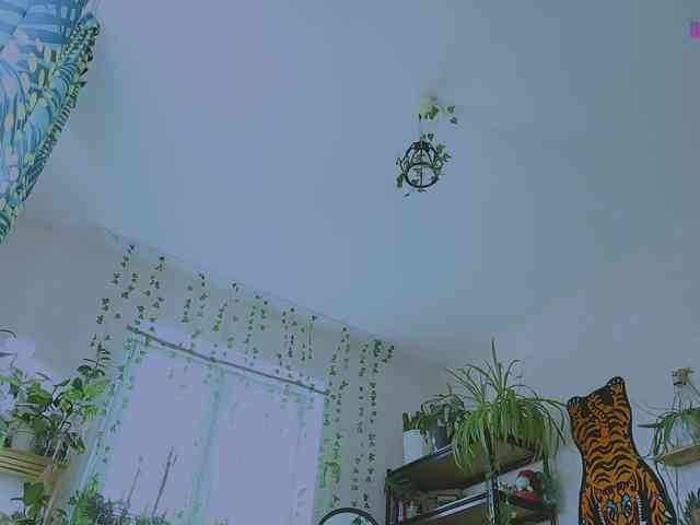 InkButtercup webcam